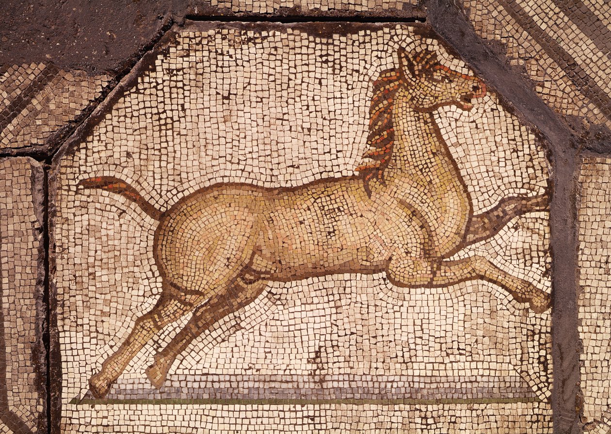 Een paard, detail (Orpheus die de dieren betovert) door Roman