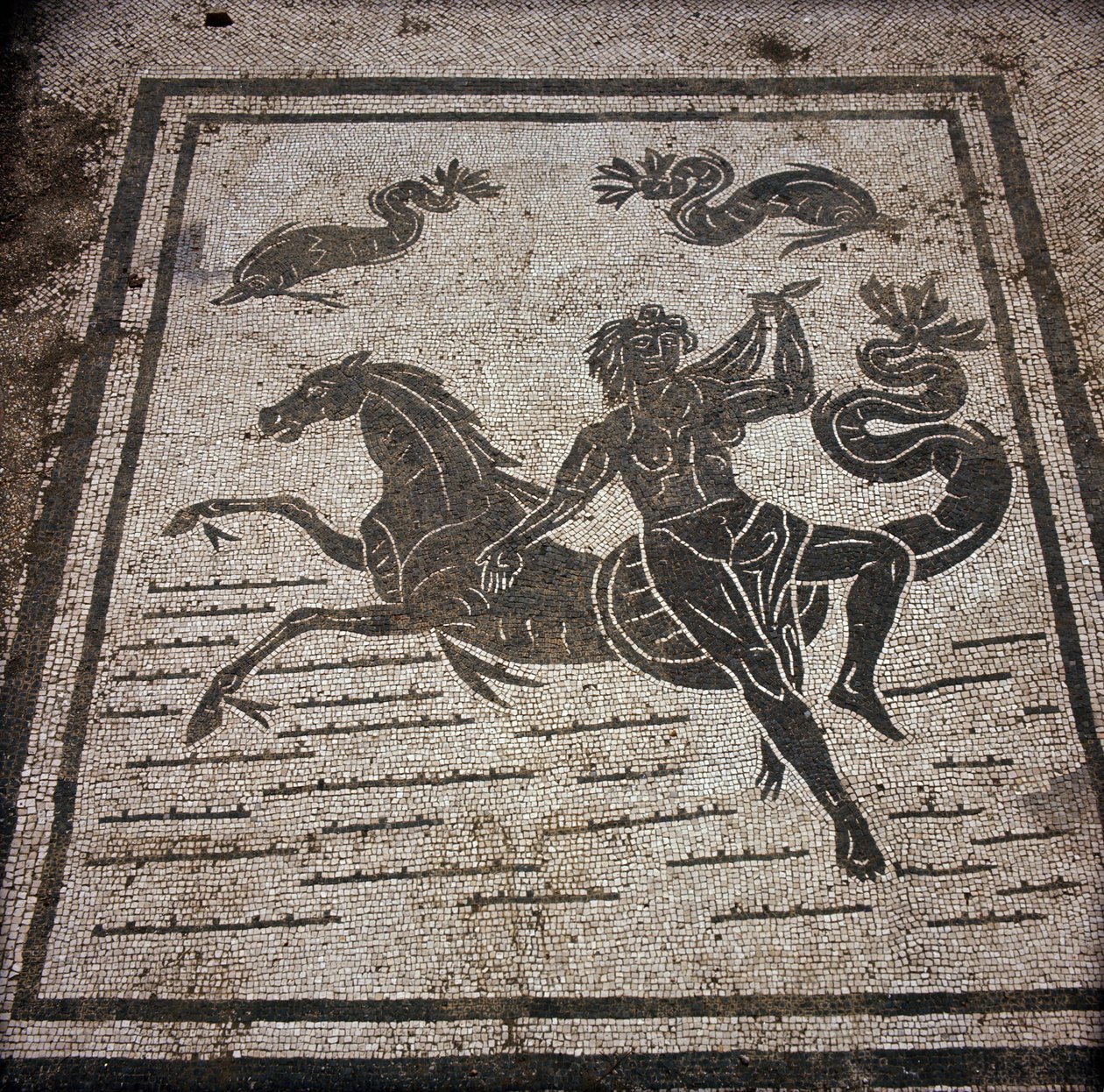 Oud Ostia. Plaats des Corporations. Mozaïek van de Sabratha Zeelieden Corporatie. Een nimf en een zeepaard. door Roman
