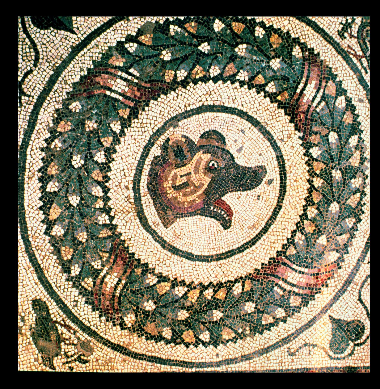 Berenkop, Romeins mozaïek, begin 4e eeuw door Roman