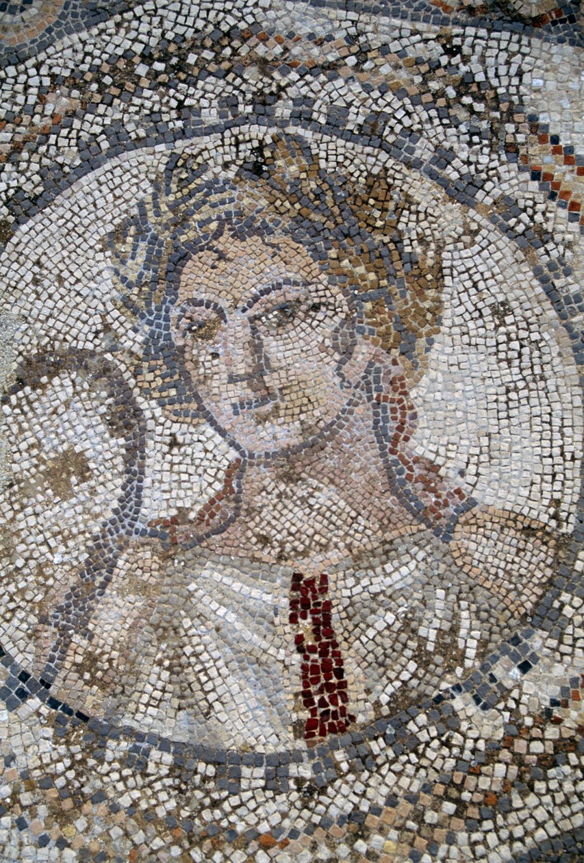 Vrouwelijk gezicht, mozaïek in Romeinse stad Volubilis door Roman