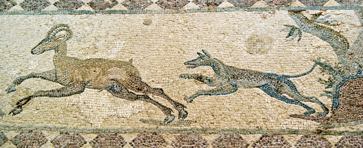 Jachtscène, Huis van Dionysos, Paphos, Cyprus door Roman
