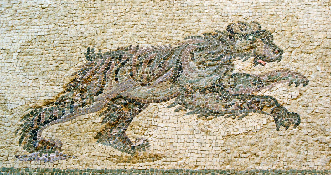 Jachtscène, detail van een beer, Huis van Dionysos, Paphos, Cyprus mozaïek door Roman