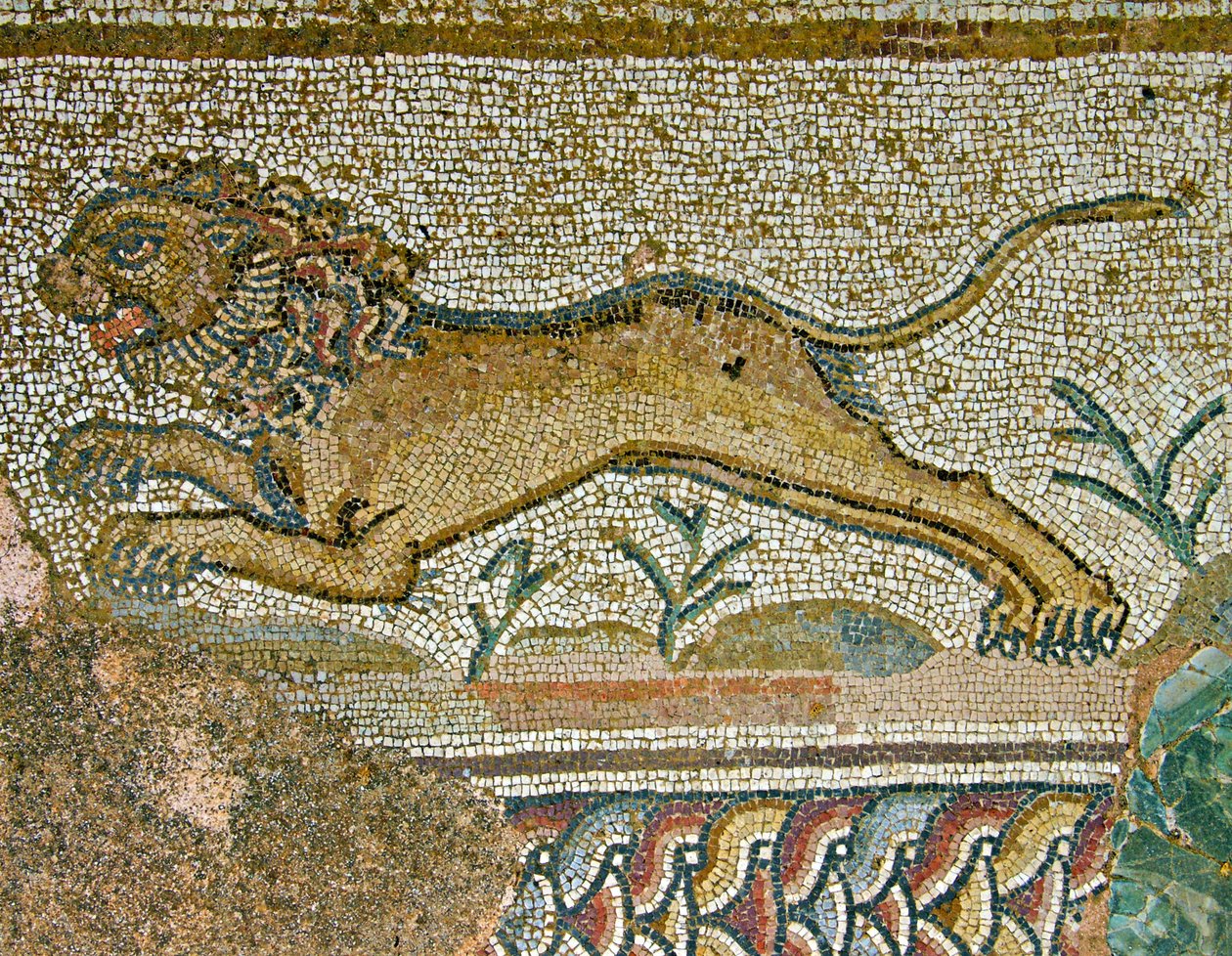 Jachtscène, detail van een leeuw, Huis van Dionysos, Paphos, Cyprus mozaïek door Roman