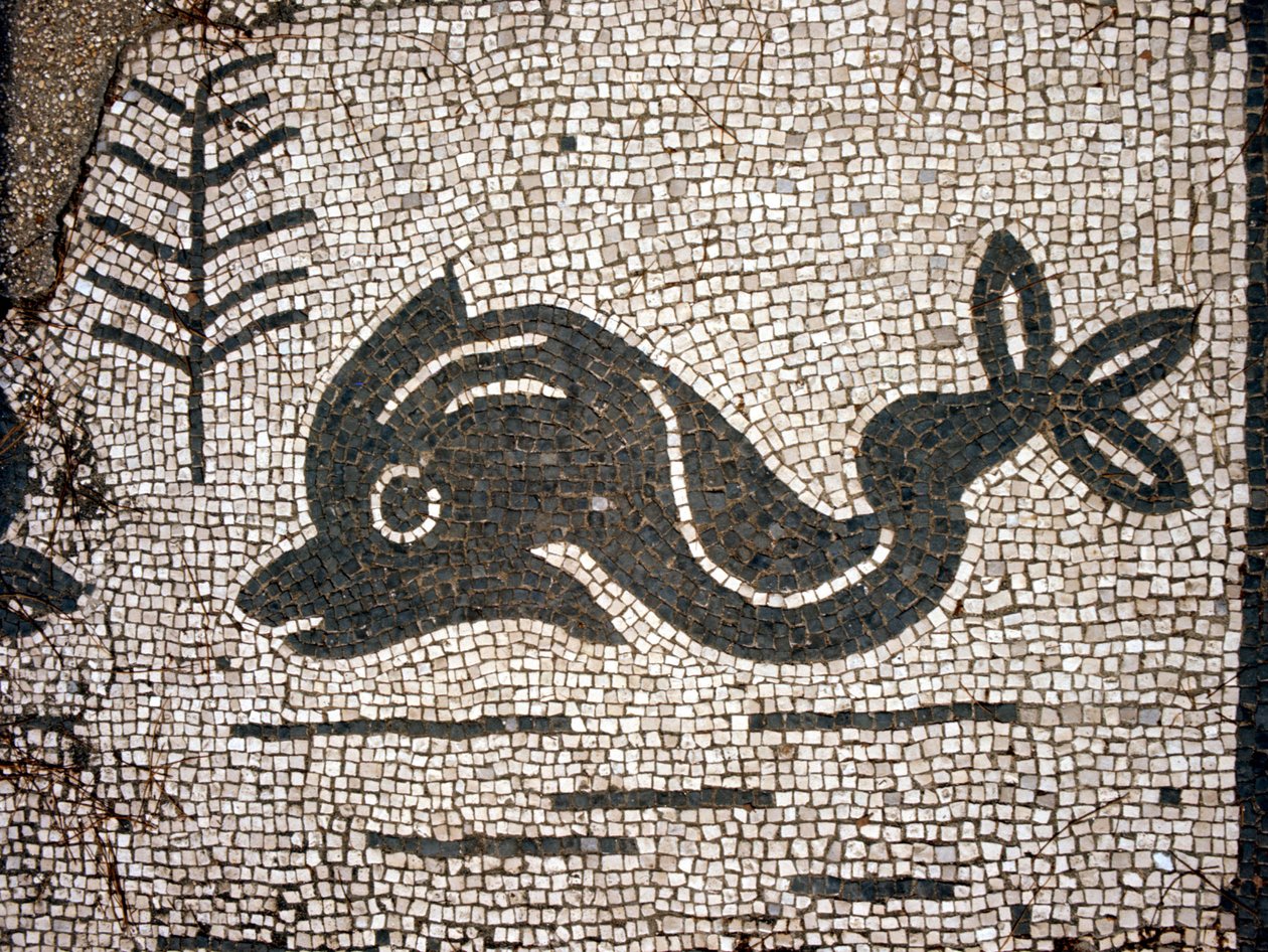 Voorstelling van een dolfijn naar een mozaïek op het plein van de Corporazioni van Ostia antica. door Roman