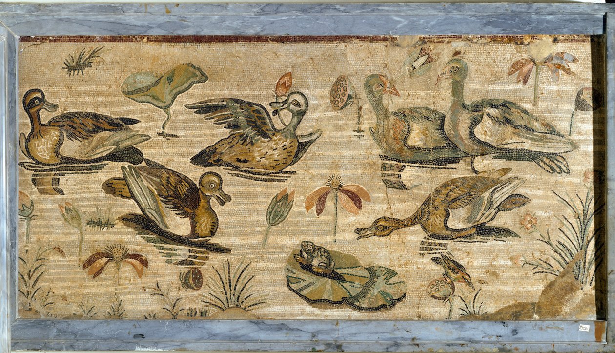 Romeinse kunst: eend, kikker en waterlelies in een vijver. Mozaïek uit de villa van fauna in Pompeii. 1e eeuw. Dim. 132x164 cm. Museo Archeologico Nazionale, Napels door Roman