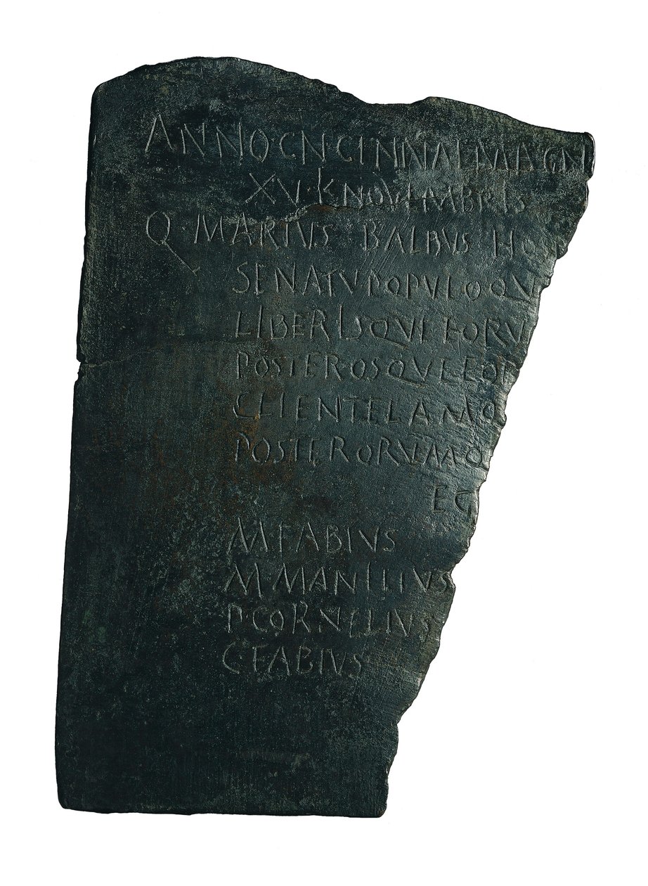 Tabula Hospitalis door Roman
