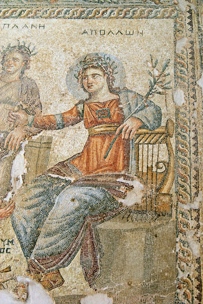 De Apollo en Marsyas mozaïek, detail van Plinius en Apollo, Huis van Aion, Paphos, Cyprus mozaïek door Roman