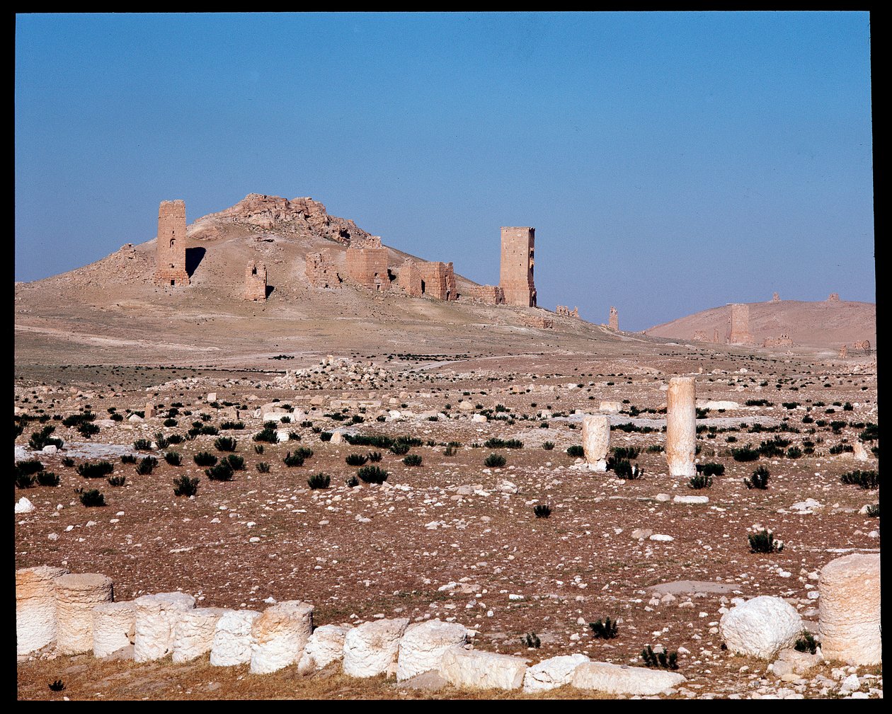 Uitzicht op de torengrafen van Iamblichus en Elahbel door Roman
