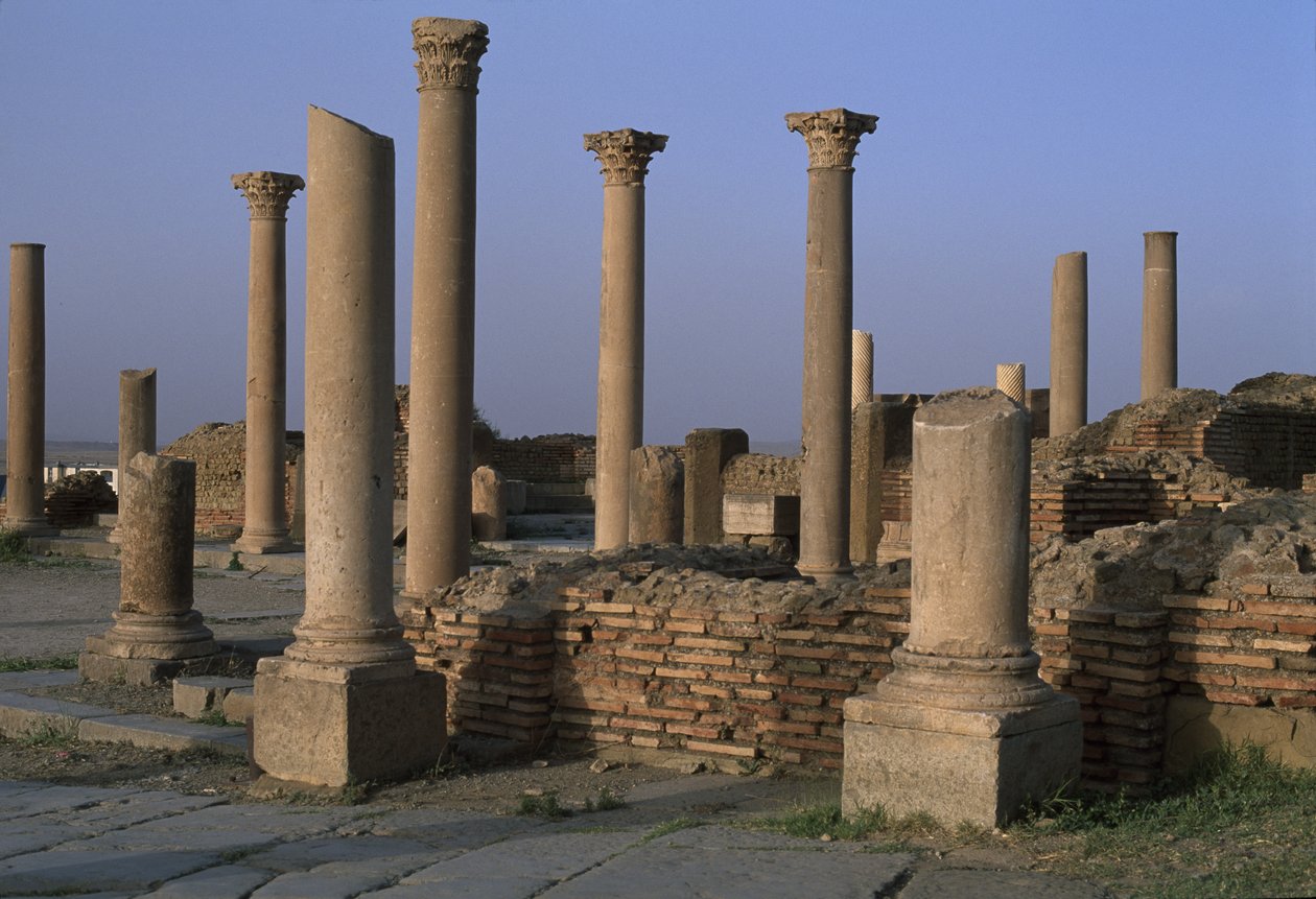 Uitzicht op de Bibliotheek, ca. 100 AD, Hoge Keizerlijke Periode (27 BC-395 AD) door Roman Imperial Period