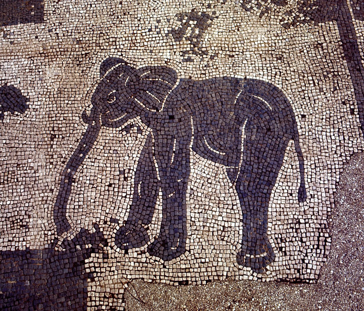 Oud Ostia. Plein van de Corporaties. Mozaïek van de Sabratha Zeelieden Corporatie door Roman Roman