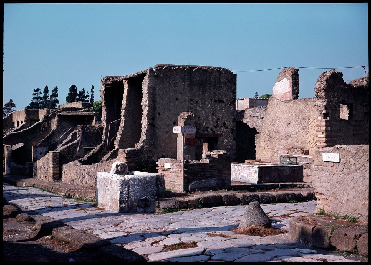 Kruispunt tussen cardo V en lager decumanum, 5e eeuw v.Chr.-1e eeuw n.Chr. door Roman Roman