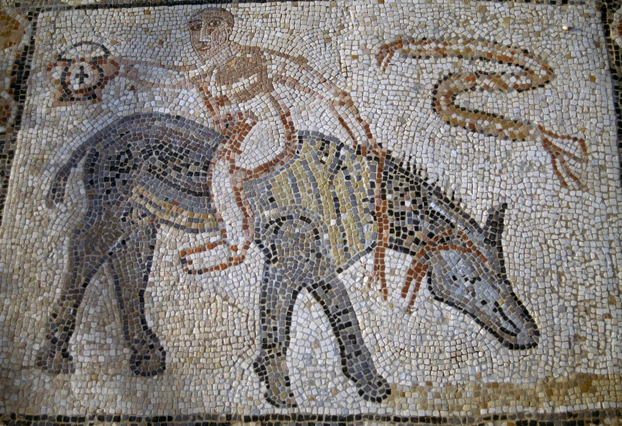 Desultor die achterstevoren op een ezel rijdt en een kantharos vasthoudt, mozaïek in het Huis van Desultor in de Romeinse stad Volubilis (UNESCO Werelderfgoedlijst) door Roman Roman