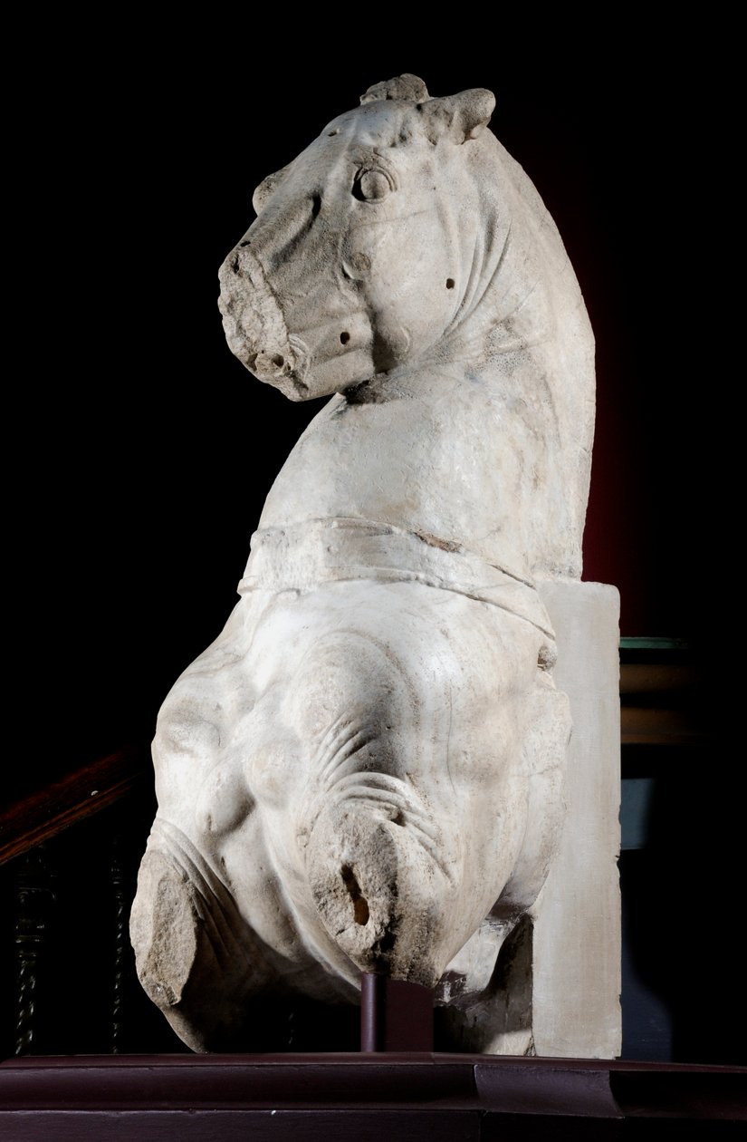 Voorkant van een paard (marmer) door Roman Roman
