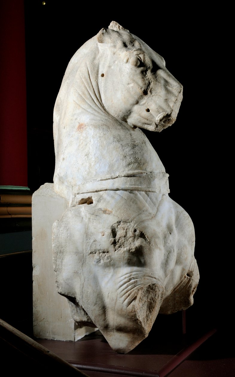 Voorkant van een paard door Roman Roman