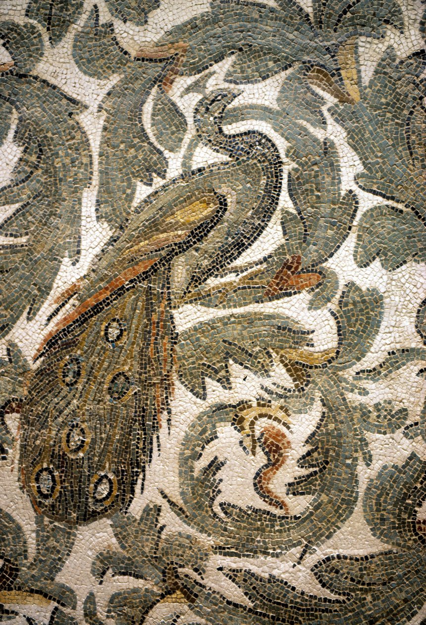 Pauw, Detail van Mozaïek - 4e eeuw na Christus, Bardo Museum, Tunis door Roman Roman