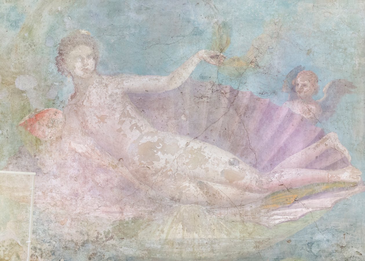 Venus op schelp, schilderij, 50-75 n.Chr. (fresco) door Roman Roman