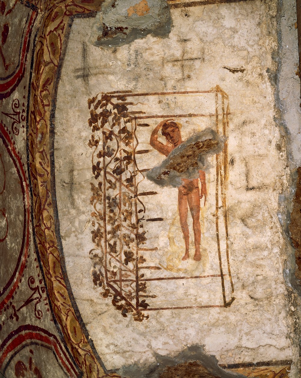 Jeugd, latwerk en wijnstokken, 3e-5e eeuw na Christus (fresco) door Roman Roman