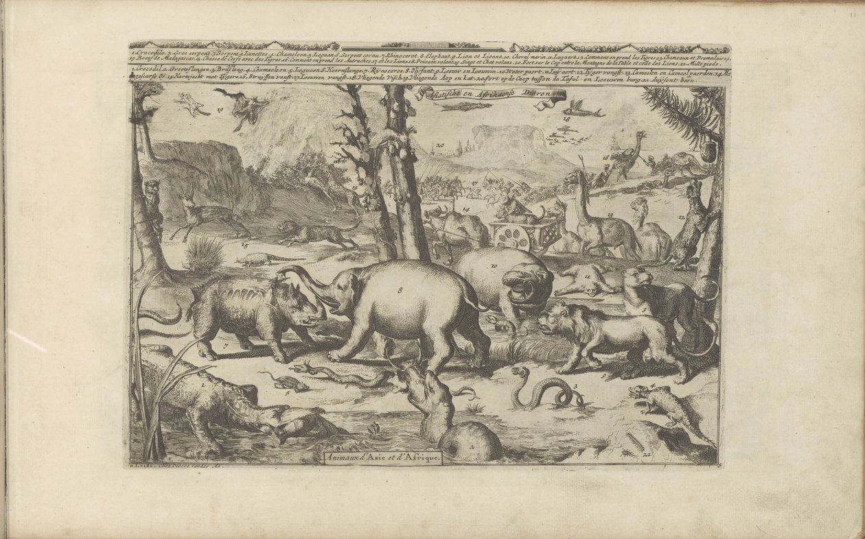 Aziatische en Afrikaanse dieren door Romeyn de Hooghe