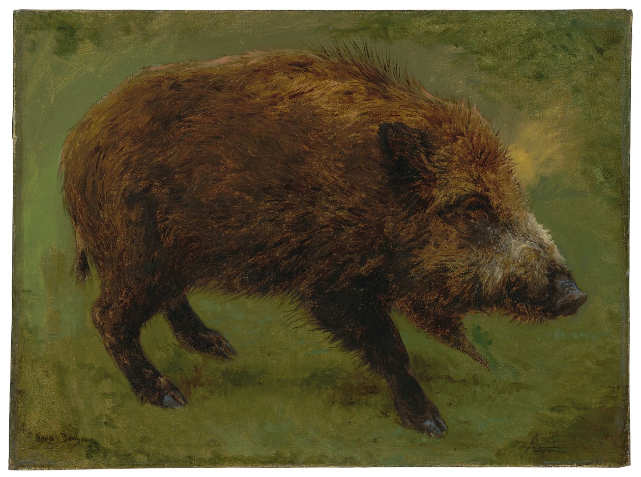 Het everzwijn door Rosa Bonheur