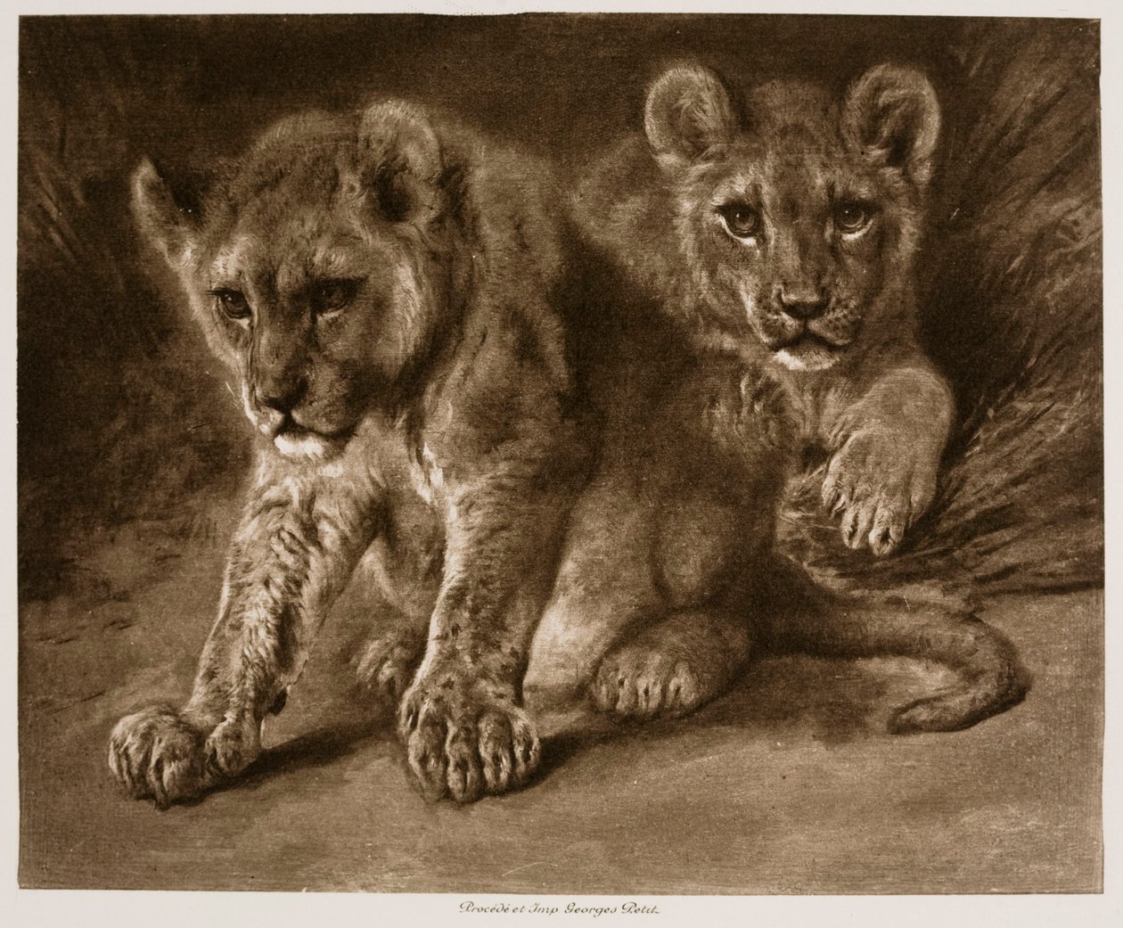Twee leeuwenwelpen door Rosa Bonheur