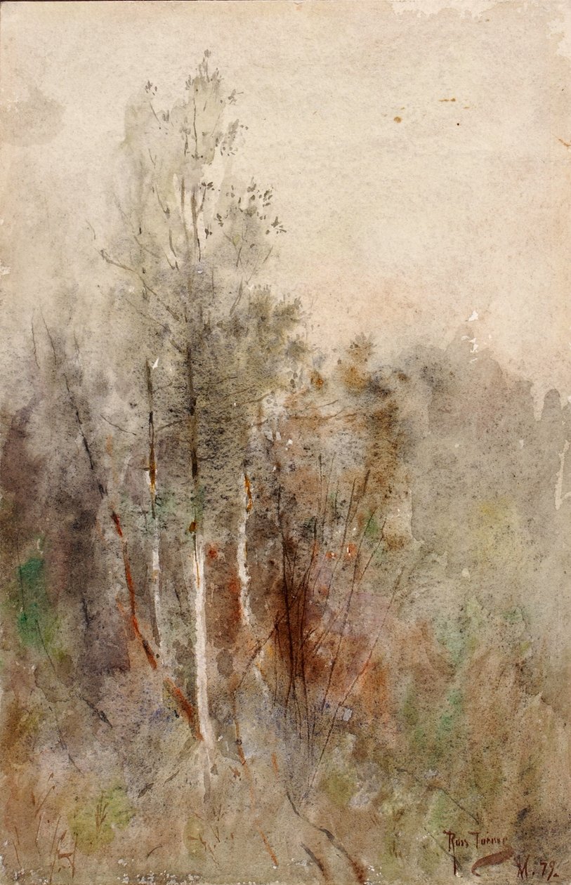 Een boomstudie door Ross Turner