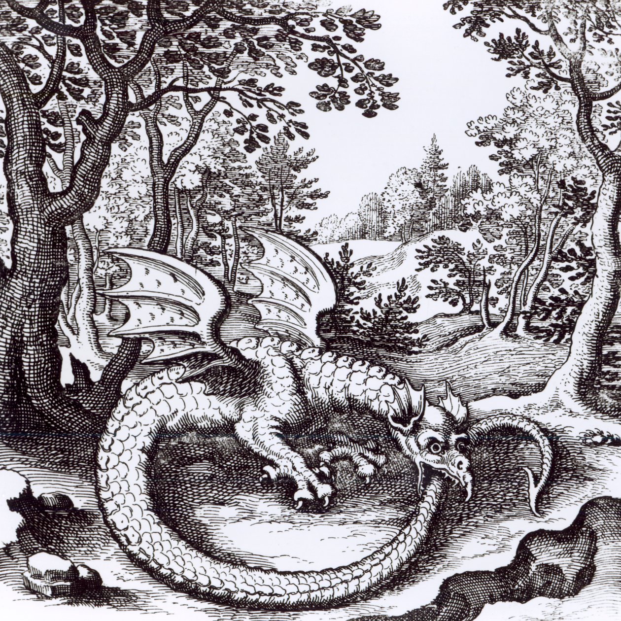 Een Draak in het Bos, uit 