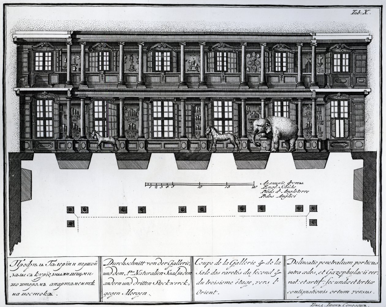 Doorsnede van de tweede en derde verdieping van de Hal der Zeldzaamheden kijkend naar het oosten, illustratie in Kamers van de St. Petersburgse Keizerlijke Academie van Wetenschappen Bibliotheek en Ga door Russian School