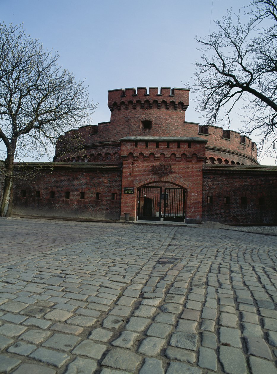 Uitzicht op de Dohna-toren, waarin het Ambermuseum is gevestigd door Russian School