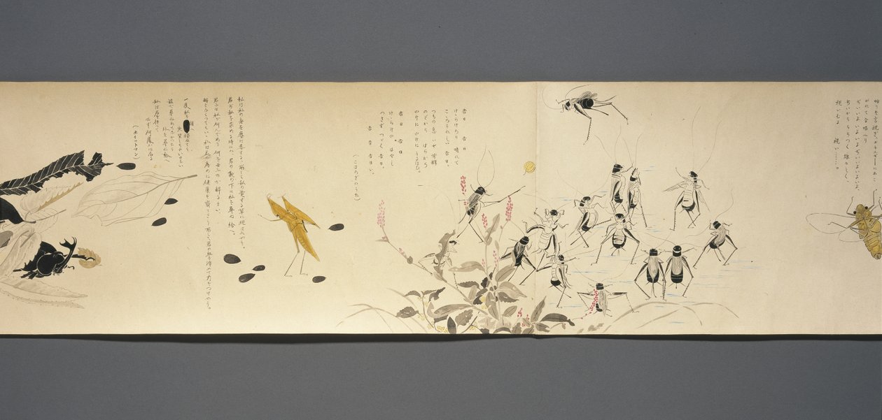 Wildlife Friends (Yasei no Tomo), Taisho Periode, Taisho 7e Jaar, ca. 1918 door Ryoka Kawakami