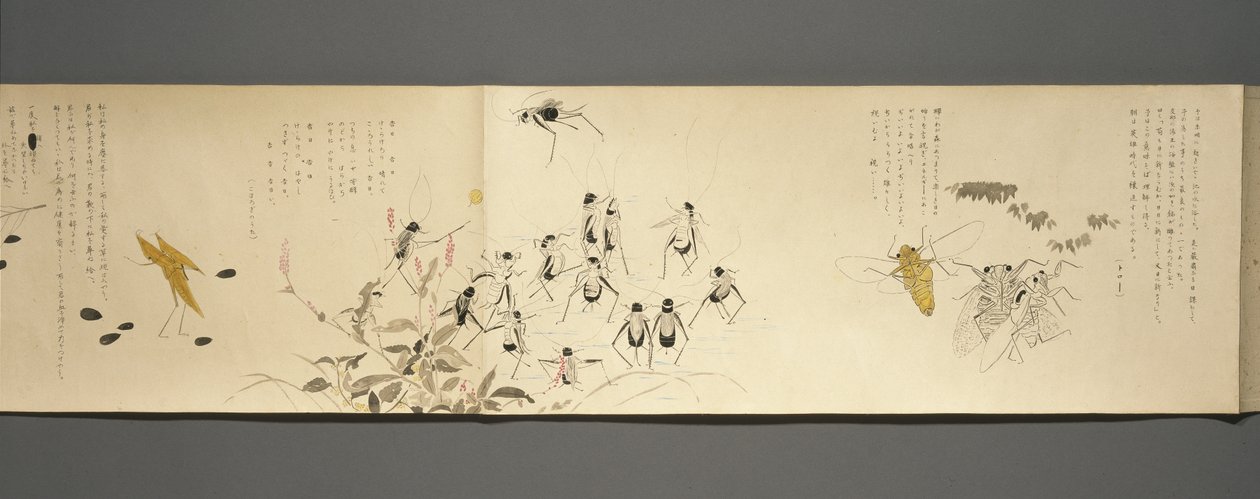 Wildlife Friends (Yasei no Tomo), Taisho Periode, Taisho 7e Jaar, ca. 1918 door Ryoka Kawakami