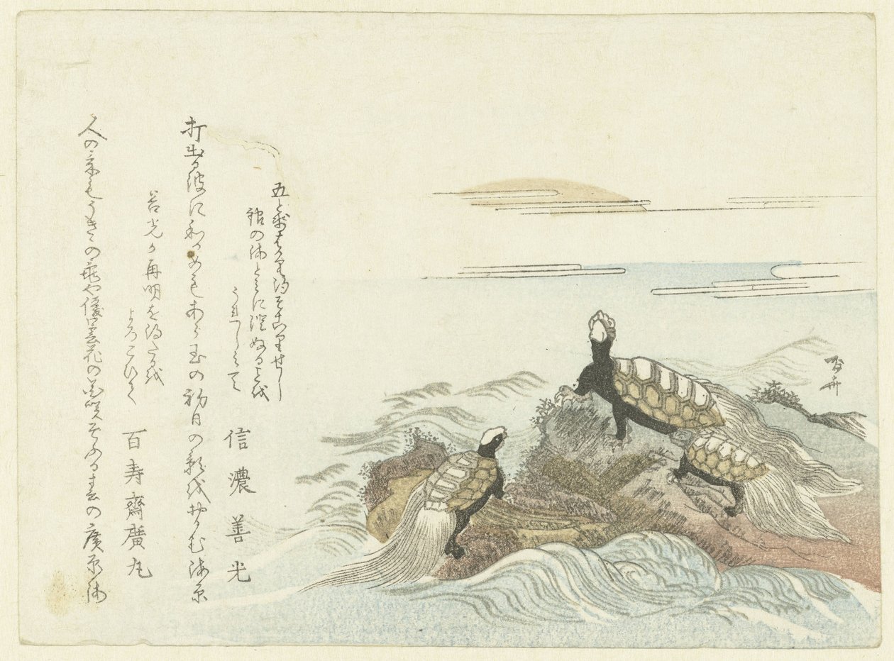 Schildpadden op een rots door Ryuryukyo Shinsai