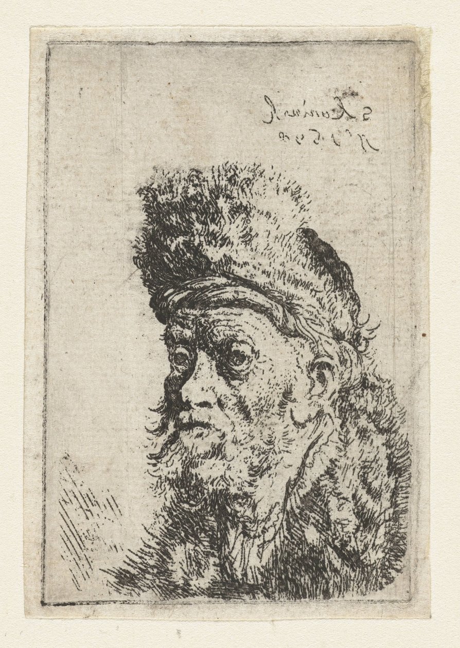 Buste van een man met bontmuts door Salomon Koninck