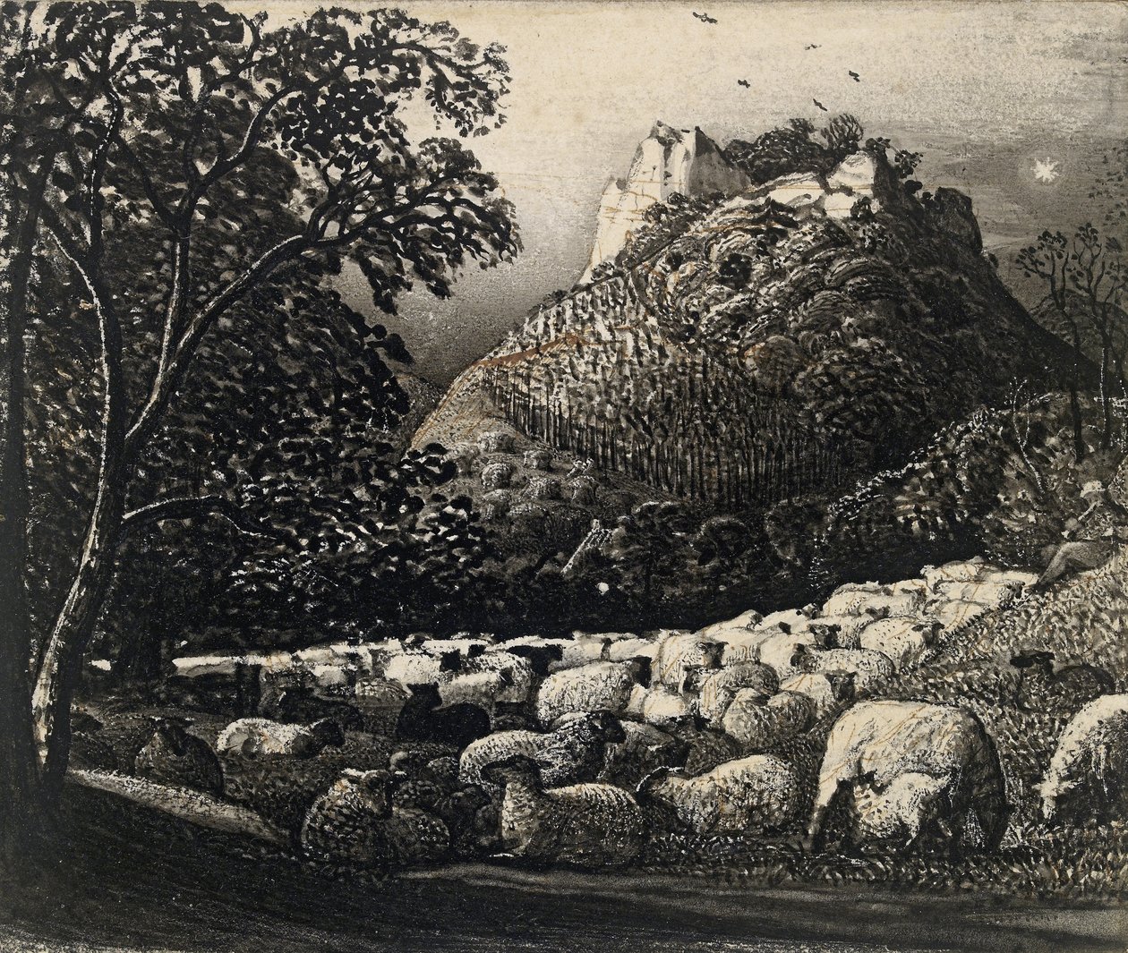 De Kudde en de Ster door Samuel Palmer
