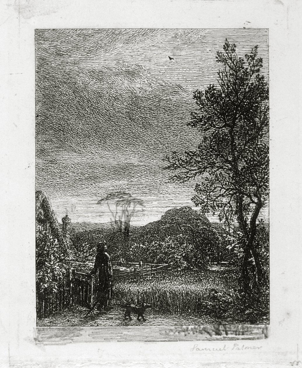 De veldleeuwerik door Samuel Palmer