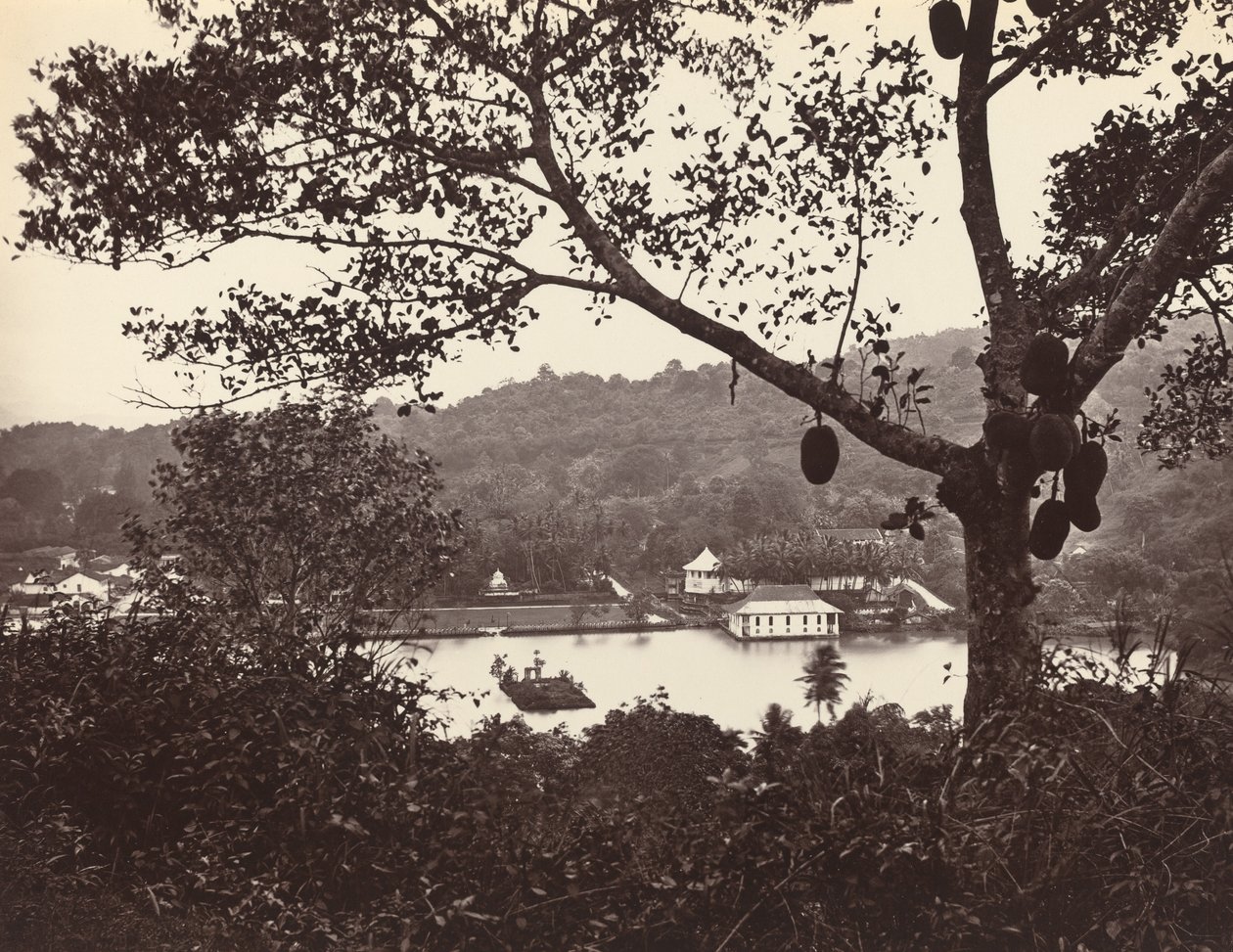 Een blik vanaf Upper Lake Road met tempel en eiland met park - fruitboom op de voorgrond, ca. 1865 door Samuel Bourne