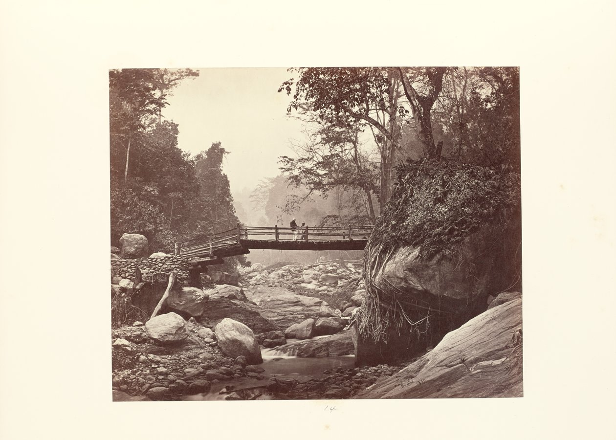 Darjeeling; schilderachtige brug over de Rungnoo beneden Ging door Samuel Bourne