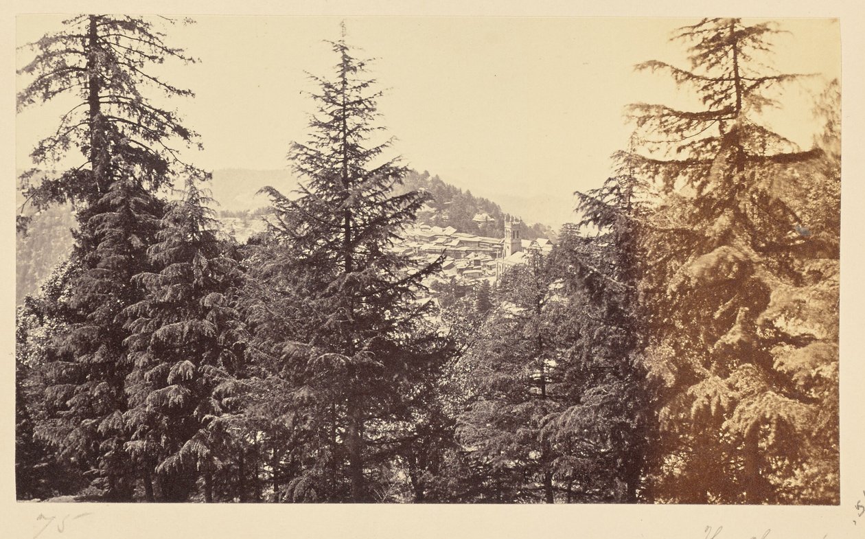 Simla; De kerk door de bomen, van Jakko door Samuel Bourne