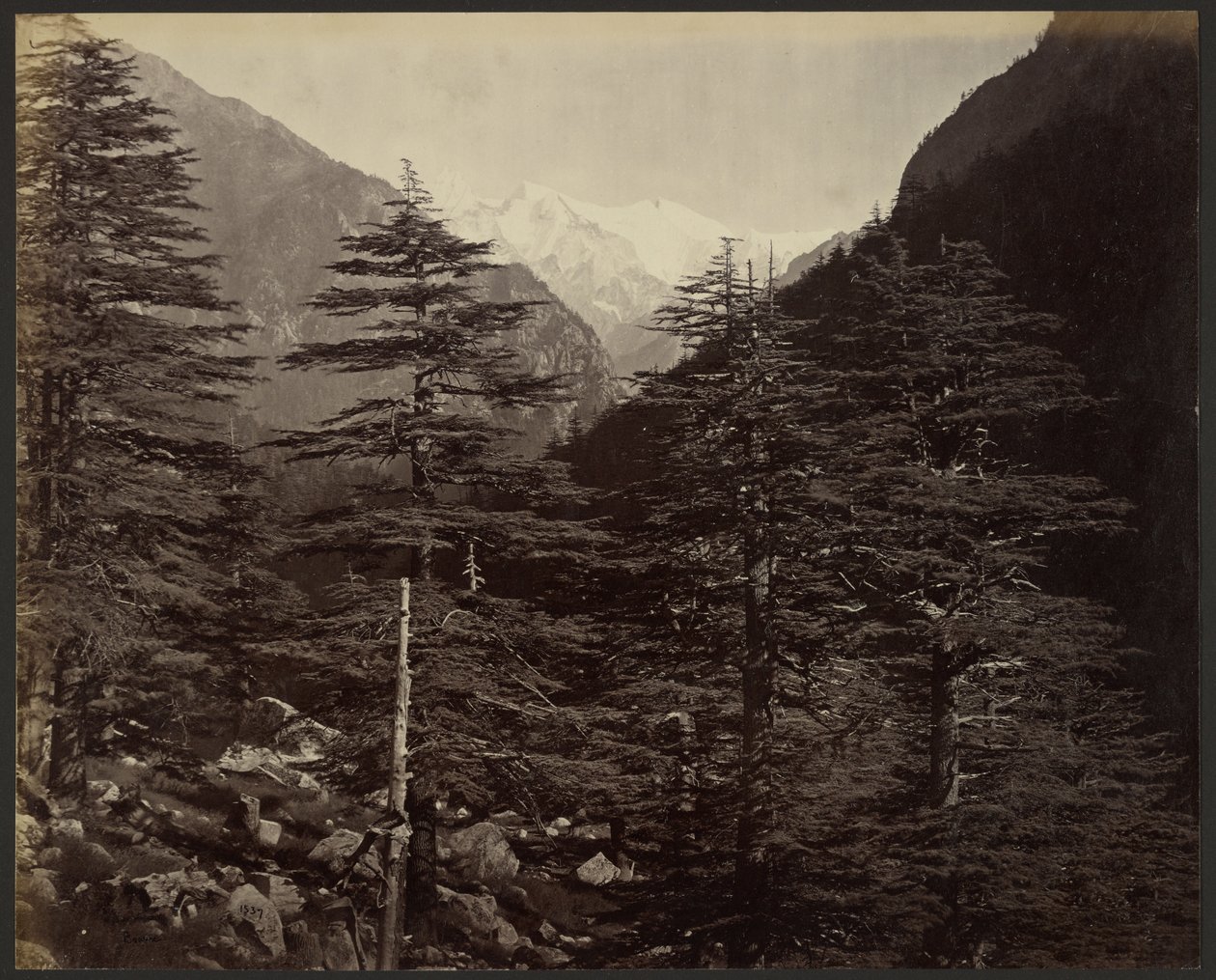 Besneeuwde bergtoppen bij Gangotri, vanuit Bhairamghati door Samuel Bourne