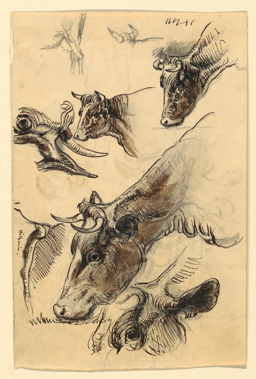 Tekening, Schetsen. Vee, Irvington, september 1876 door Samuel Colman