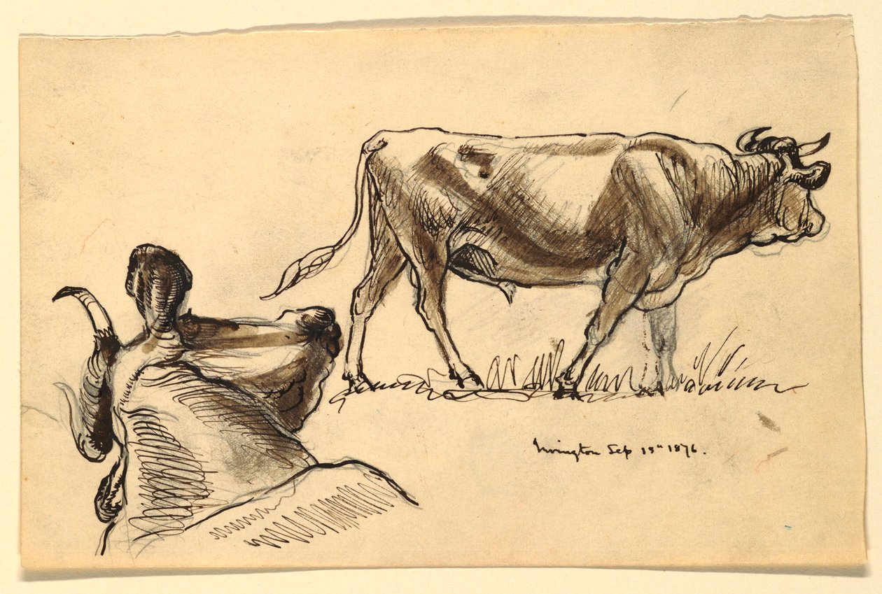 Tekening, Schetsen. Vee, Irvington, september 1876 door Samuel Colman