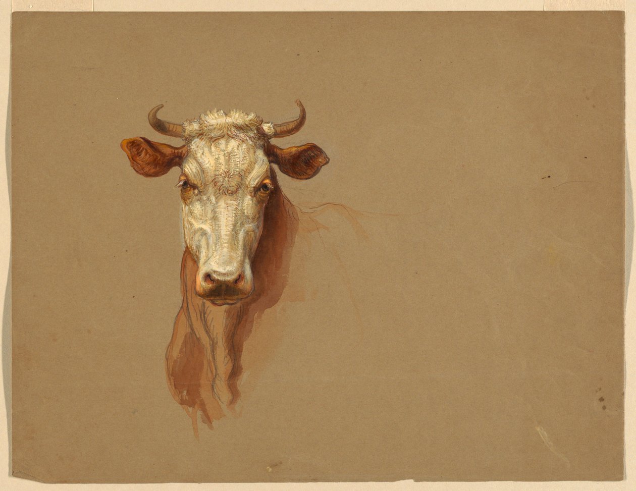 Twee Studies van Vee door Samuel Colman