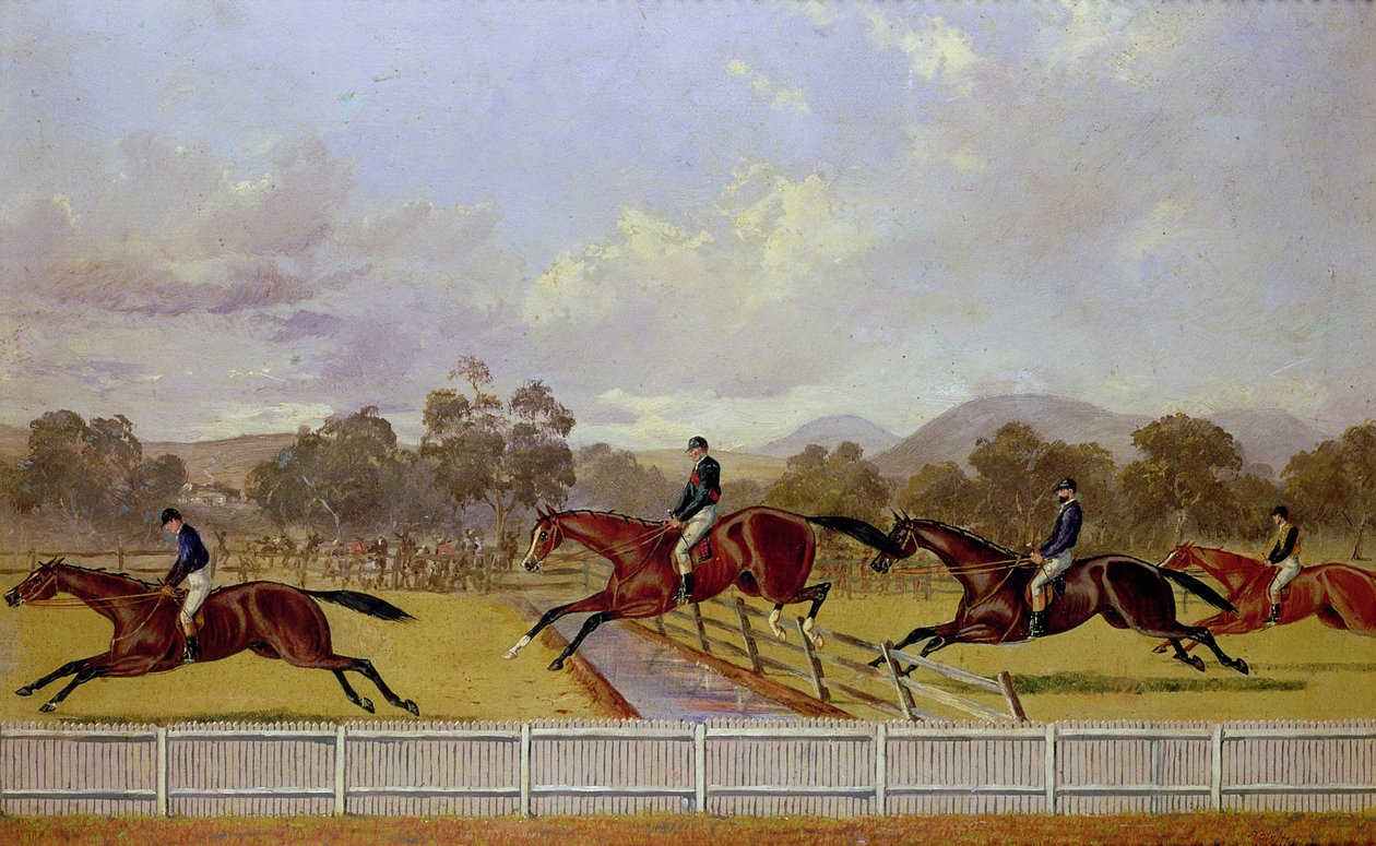 Een Steeplechase door Samuel Henry Alken