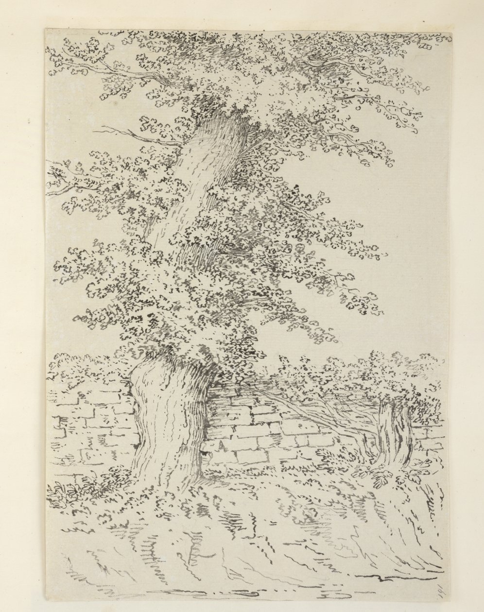 Een iepboom in Bedminster door Samuel Hieronymous Grimm