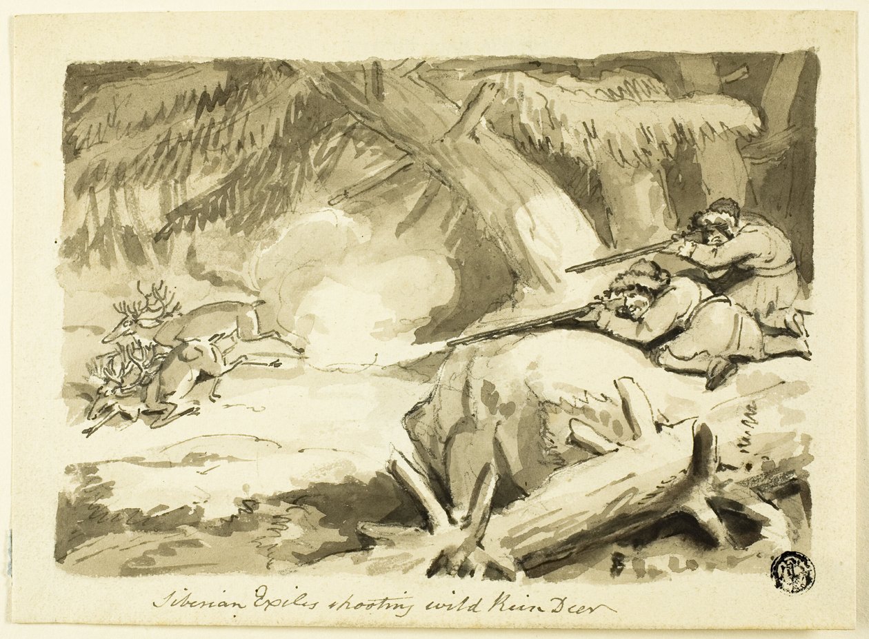 Siberische Ballingen die Wilde Rendieren Schieten (recto); Schelp (verso) door Samuel Howett