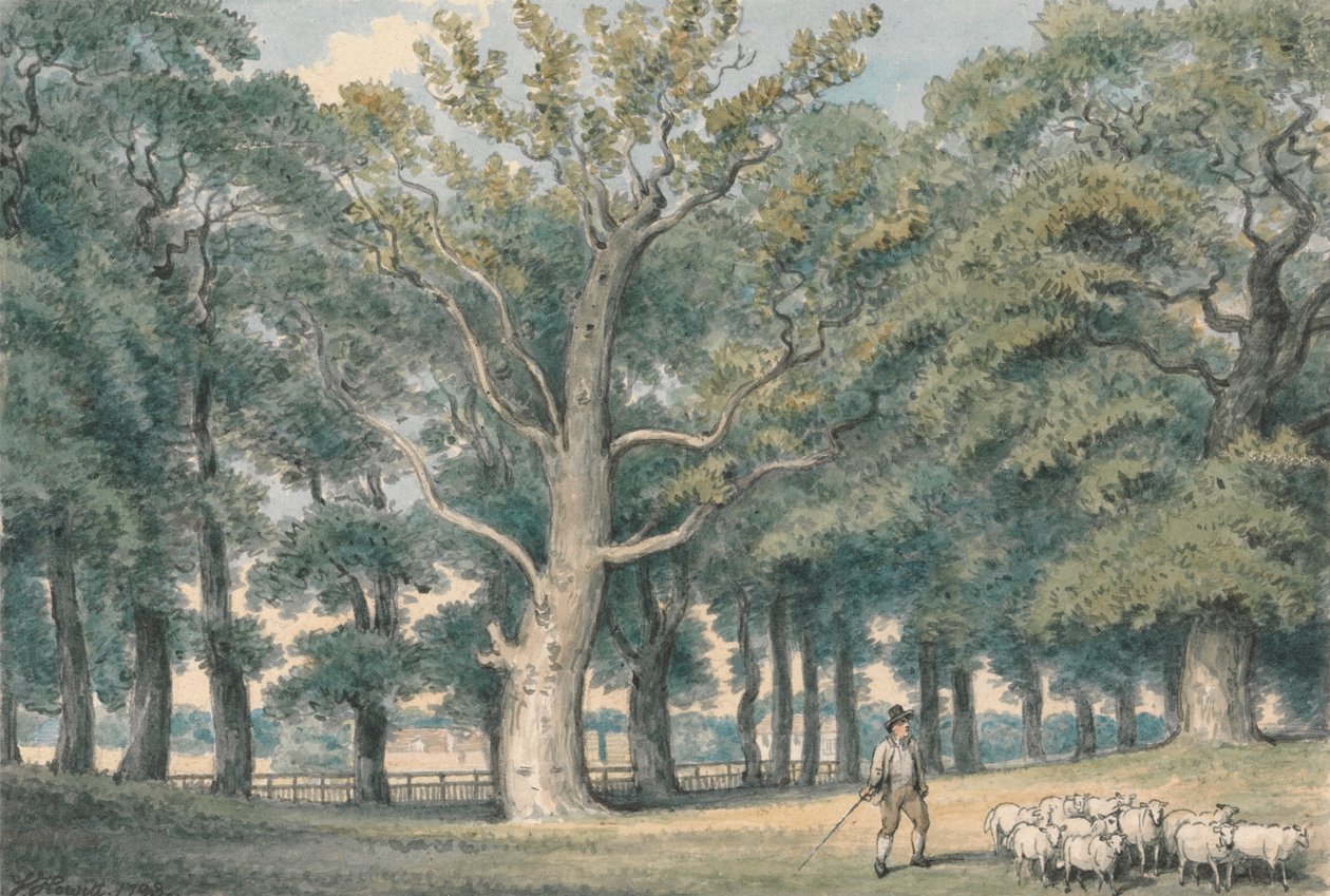 Een Parklandschap met Herder en Schapen door Samuel Howitt