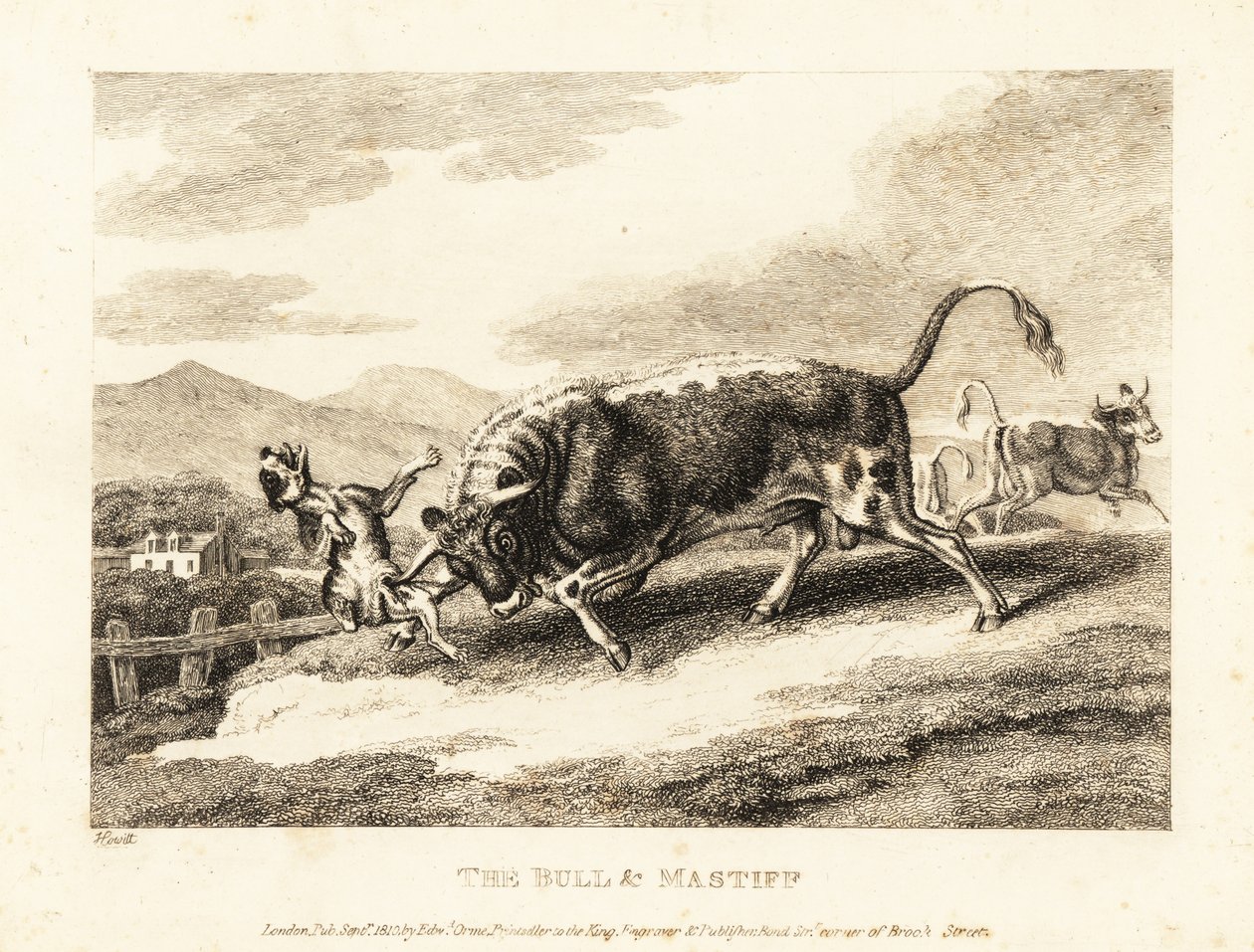 Een stier doorboort een hond tot de dood in een veld. 1811 (ets) door Samuel Howitt
