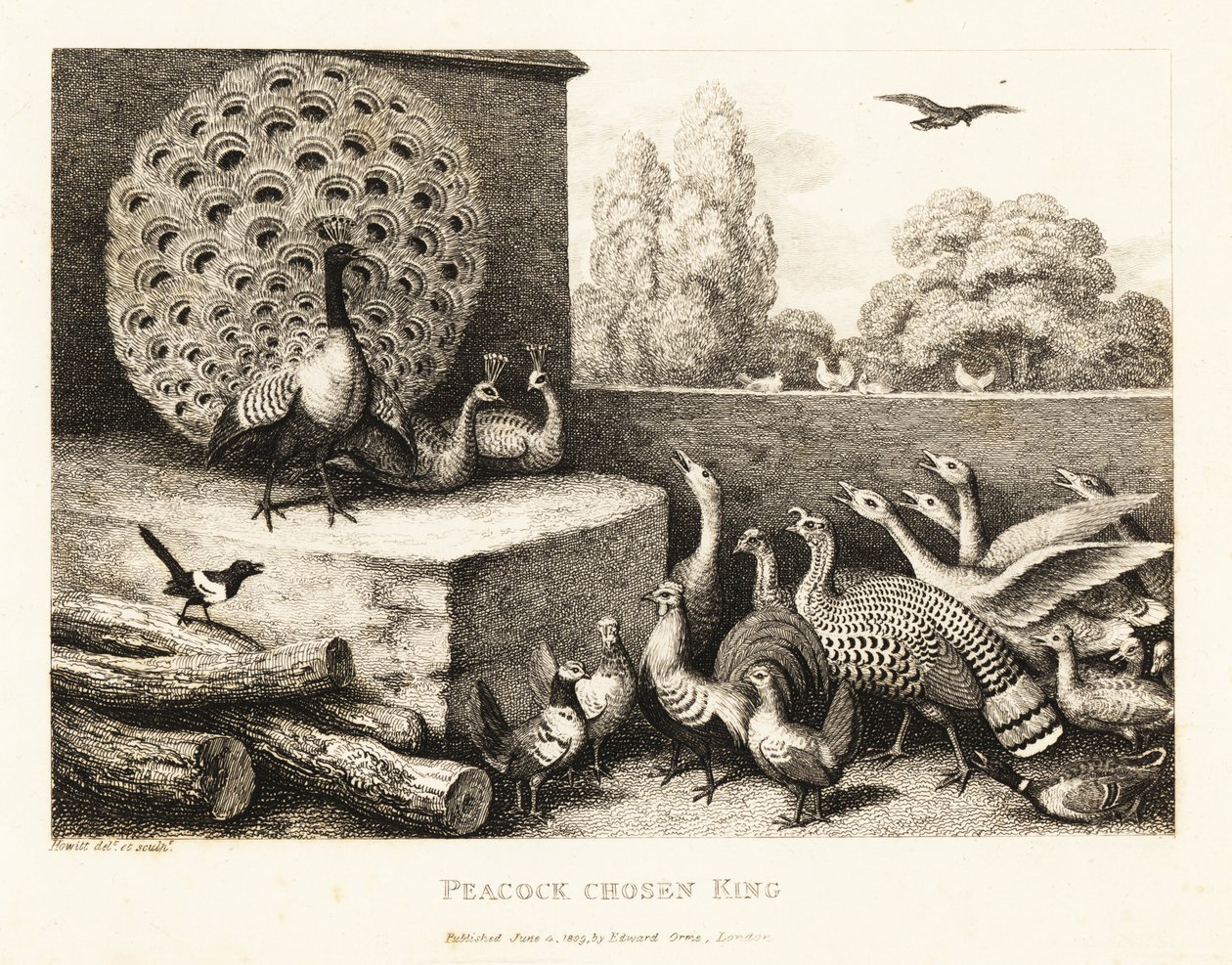 Een pauw gekozen tot koning van de boerderijvogels. 1811 (ets) door Samuel Howitt