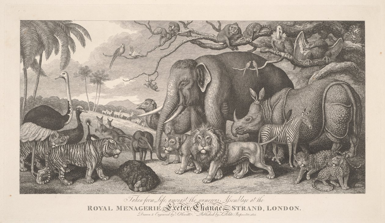 Naar het leven getekend, te midden van de talrijke menigte in de Koninklijke menagerie, Exeter Exchange, Strand, Londen door Samuel Howitt