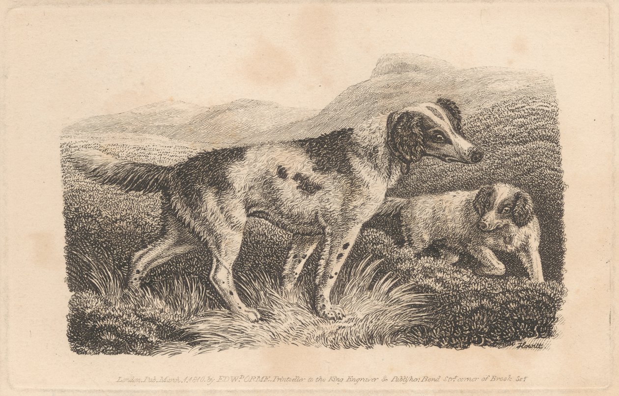 Twee Honden door Samuel Howitt