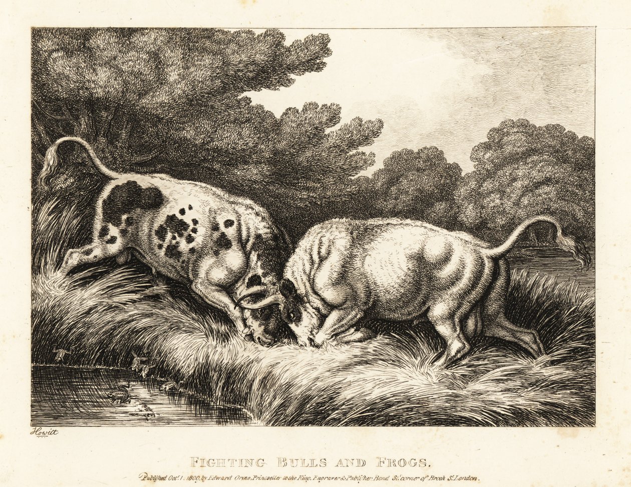 Twee stieren vergrendelen hun hoorns bij een vijver vol kikkers. 1811 (ets) door Samuel Howitt